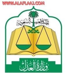 بالفيديو .. الاستيلاء على مبلغ مالي بطريقة احترافية من أحد محلات اﻷفلاج التجارية