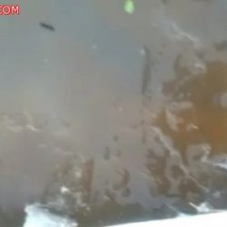شاهد “أغرب زفة”.. عريس يقود زوجته للقفص الذهبى بـ 4 “تريلات”