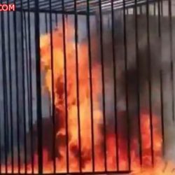 بالفيديو …“جني الأفلاج” يعود لغرفته المهجورة رغم ترحيله عدة مرات
