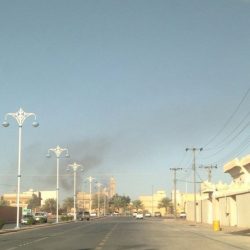 وزارة المالية .. صرف الراتبين غدا الاثنين