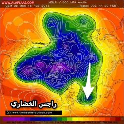 الذئاب تفترس أغنام الهدار