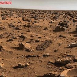 لأول مرة.. أمريكا ستصدّر طائرات من دون طيار مزودة بصواريخ للخليج