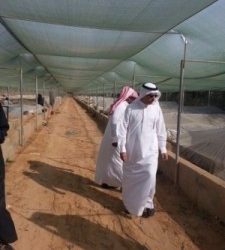 وزارة ​الداخلية: شرطان لتعديل مهنة المقيم