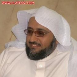 الكهرباء تحمل المقاول مسؤلية عامود الإنارة