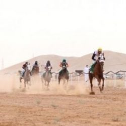 بالصور ميدان الخيول يعلن جاهزيته بأربعين متسابقا