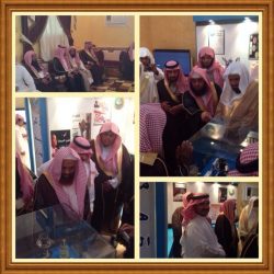 الجمال السائبة تغزو طرقات الأفلاج