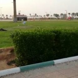 حملة أمنية في سوق الأغنام والعلف في الأفلاج