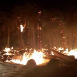 الحربي: أسبوع مضطرب جوياً بـ”الأمطار الرعدية” على السعودية