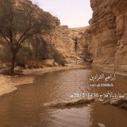 موجة غبار تتسبب في إنقطاع الكهرباء عن الهمجة غرب الأفلاج