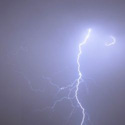 الشيخ محمد البشر يتكفل بمكافأة الذين لم يحالفهم الحظ في سباق الخيول بميدان الفروسية