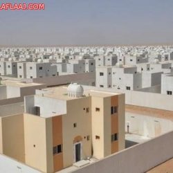 “العمل”: لجان مشتركة لحل معوقات الاستقدام من الهند وعدد من الدول الأخرى