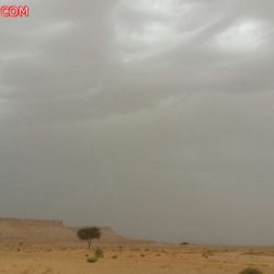 السماح للموظف الحكومي بممارسة التجارة.. أمام “الشورى”