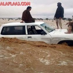 بالصور والفيديو : البرد يزين العرق شمال غرب الهدار