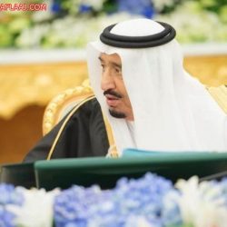 بالصور : عبارة واحدة صغيرة تسببت في إغلاق الطريق السريع  جنوب مركز العجلية أمس