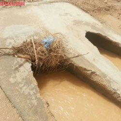 عصر اليوم يصلى على سبع جنائز ٦ منهم من عائلة واحدة
