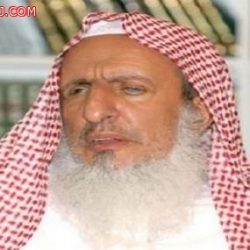 في أول زيارة خارجية له.. الملك سلمان يترأس وفد المملكة إلى “شرم الشيخ”