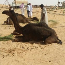 شاهد بالفيديو: “عاصفة الحزم” تدك مستودعات أسلحة وذخيرة الحوثيين