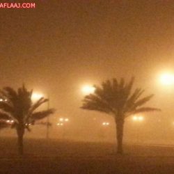حالة الطقس المتوقعة اليوم الخميس