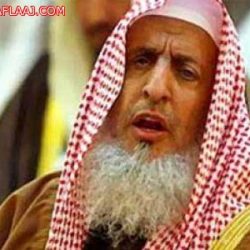 وزير الداخلية يوجه باعتماد “استخدام الجوال باليد أثناء القيادة” مخالفة مرورية