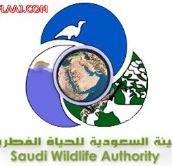 الحبشان يستقبل رئيس البلدية وعدد من مشائخ وطلبة العلم