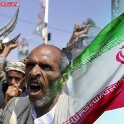 إنسان تزور المتاحف