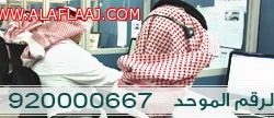 سباق الخيل على قناة الأماكن بعد غد الأحد