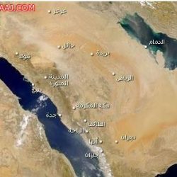 بالفيديو.. الشيخ “المغامسي”: عذاب القبر متقطع وليس متواصلاً