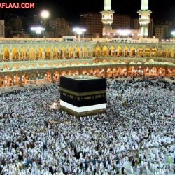 أهالي النايفية والقرى المجاورة يشتكون من ضعف خدمات موبايلي