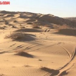 ثانوية اﻷحمر تتكفل بمصاريف 52 معتمرا من الجاليات باﻷحمر لشهداء عاصفة الحزم