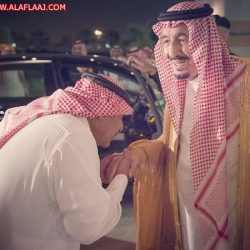 لليوم العاشر.. استمرار البحث عن المفقود الكبرا في صحاري أم الجماجم