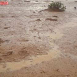 بالصور : سيول مركز الغيل  وحراضة شمال غرب الأفلاج اليوم الأثنين ١٥-٧-١٤٣٦