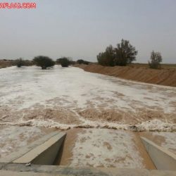 طلاب الرقاشية: على ضفاف بحيرات اﻷمطار وجريان السيول لم ينسو الدراسة