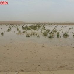 المفتي العام يشيد بجهود جمعية إنسان بالأفلاج