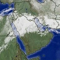 محمد بن سلمان يُرزق بمولود جديد ويسميه “مشهور”