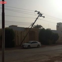 رصيف يتوسط الطريق السريع كاد أن يودي بحياة عائلة