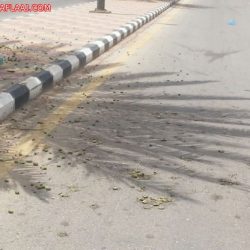 مستشفى الأفلاج يبدأ غداً تطبيق المواعيد الجديدة في المراكز الصحية