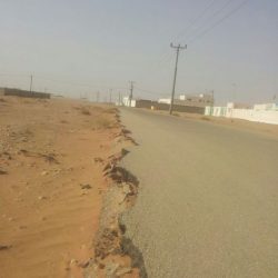 الخدمة المدنية قبول خريجي وخريجات الانتساب على الوظائف التعليمية