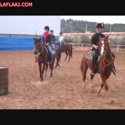 مركز الإرشاد الأسري بالأفلاج يطلق مسابقة التوعية بأضرار المخدرات