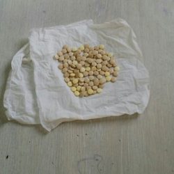 انطلاق رحلة العمرة الثانية بتعاوني اﻷحمر