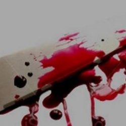 نادي الملك سلمان الموسمي يواصل فعالياته وبرامجه