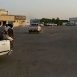 مواطن يصطاد ذئب كان ينوي افتراس الأغنام