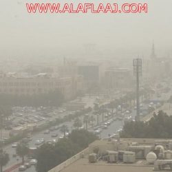 لجنة تنمية الأفلاج تنظم حفل العيد لأبناء الأسر في الإسكان التنموي