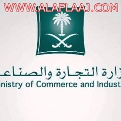 اقتحام “الأقصى”.. “العريفي”: لا يزال أبطال فلسطين ونساؤها يبيضون وجه الأمة.. و”القرني”: ماذا سنقول لربنا؟ وماذا سيكتب التاريخ