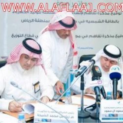 بالتفاصيل : ما هي الخلايا الشمسية في انتاج الكهرباء ؟