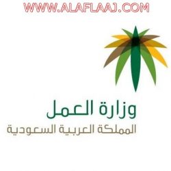 تحفيز الكوادر الطبية مادياً ومعنوياً لقبول العمل بالمناطق النائية