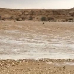 هيئة الأمر بالمعروف : تطالب بإزالة لوحات إعلانية في الشوارع تضمنت صور امرأة