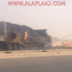 مصرع وإصابة 6 بينهم عائلة إثر تصادم على طريق العجلية