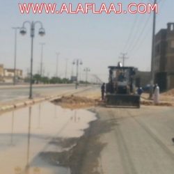 مناظرة بين “ابن باز” و”بن لادن” تُنشر لأول مرة (فيديو)