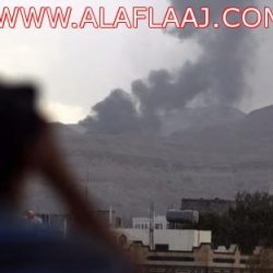 الإيقاف والغرامة لمستخدمي الهاتف الجوال أثناء القيادة