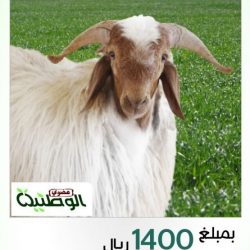 أندونيسيا تتجه لاستعادة عمالتها المنزلية من عدة دول بينها السعودية خلال 15 شهراً